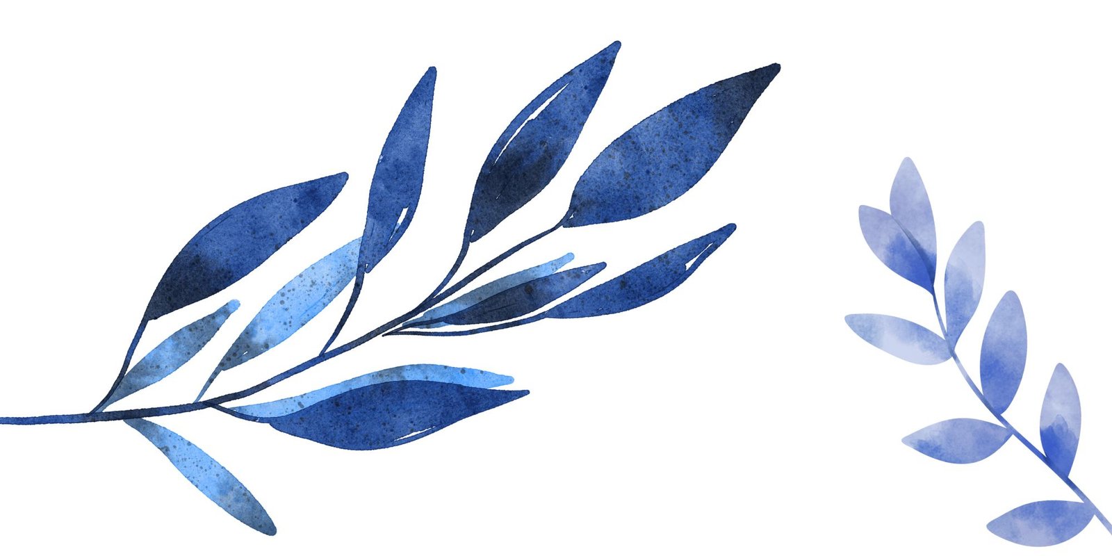 Copy of The cures banner